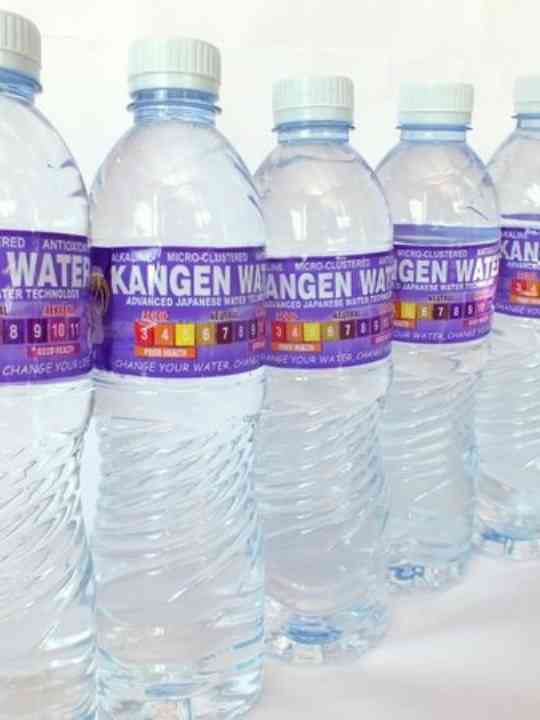 Kangen Water 600ml
